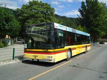 STI Thun Nr. 91/BE 572'091 MAN am 29. August 2010 Thun, Schiffl�ndte