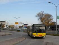 1589 am 30.10.2010 am S Sch�nefeld 