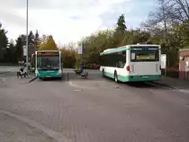Bustreffen des Stadtverkehrs Maintal in D�rnigheim am 30.10.10