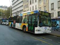 RTM Marseille Nr. 957/AV 636 WW Mercedes Citaro am 15. Oktober 2010 Marseille, Canebire Bourse