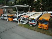 Mus�e Bus: Diverse Oldtimer-Busse am 16. Oktober 2010 in Breil-sur-Roya