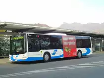 BOGG Wangen b.O. Nr. 96/SO 158'244 MAN am 30. Oktober 2010 Olten, Bahnhof