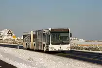 Der NF-SV 611 war am 30. Januar 2010 durch das winterliche Rantum auf Sylt gefahren, als der Bus auf der Linie 2 von Westerland nach Hrnum unterwegs war.