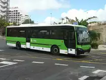 08.10.10,SCANIA-Castrosua als TITSA 7911 in Playa de las Amricas/Teneriffa.