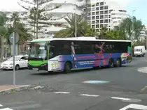 08.10.10,SCANIA-Castrosua als TITSA-Bus in Playa de las Amricas/Teneriffa.
