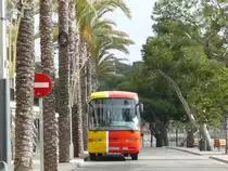 17.01.11,IVECO der tib Nr.60 in Porto Cristo auf Mallorca.