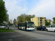 Was sich die Anwohner der Hirtenhofstrasse schon lange w�nschen: eine Verbindung zwischen der Linie 7 und der Linie 8. Hier der MB Citaro Nr. 565 w�hrend des Marathons.