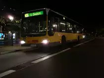 1664 N26 20.08.2010 S+U Zoo