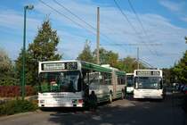 MAN NGE 152 - Obus 033 und 037 der BBG im Brandenburgischen Viertel in Eberswalde am 16.09.2010.
