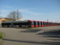 In der Bildmitte ist auch der Schatten des Turmwagens (fr die Fotografen) zu erkennen.