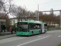 Mercedes Citaro mit der Betriebsnummer 705 an der Haltestelle Morgartenring auf der Linie 36. Die Aufnahme stammt vom 27.03.2011.