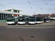 Ein paar RNV Citaro am 03.04.11 in Heidelberg Betriebshof durch den Zaun fotografiert 