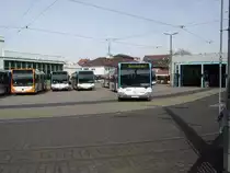 Gleich vier RNV Citaro am 03.04.11 in Heidelberg am Betriebshof durch den Zaun fotografiert 