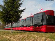 Einfach war es nicht f�r das Foto-Shooting vom 26.3.2011 der Stadtbus Swisstrolleys ein geeigneter Platz f�r 21 Fahrzeuge zu finden. So musste man sich halt dann auch mit einem Baum in der Quere zufrieden geben.