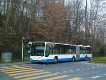 VBL Luzern - Nr. 139/LU 199'439 - Mercedes Citaro am 11. M�rz 2011 in Luzern, Friedental
