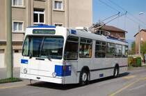 TL 790, NAW-Lauber, Coudraie, 2011-04-14