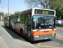 Mein 100. Busbild auf Busbild.de: Ein MB 405 GN der TPG, Nr. 221. Dieser ist einer der wenigen 405 mit Video�berwachung, und vielleicht der einzige Genfer 405 mit den neuen Scheibenwischern (nicht mittig), 20.04.2011, bei der Haltestelle Jardin Botanique.
