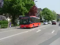 Ein MAN Lions City des DB Rhein Neckar Bus in Neckargem�nd am 21.04.11