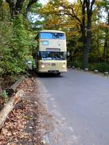 Hist. B�ssing-Doppeldeckerbus bei Anfahrt zur Haltestelle Grundwaldturm, Ausflugslinie zur Pfaueninsel, Herbst 2007