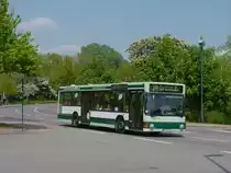 Am 26.4.11 traf ich Wagen 248 mittags wieder auf der Linie 311 Richtung Storchenplatz. (Neunkirchen Spitzbunker)