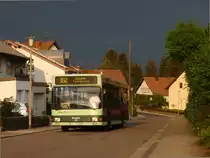 Vor der Kulisse dunkler Gewitterwolken pr�sentierte sich NVG-Wagen 243 am 26.4.11 auf der Linie 302. (Ottweiler Remmesweilerweg)