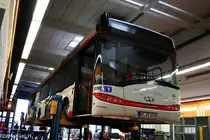 SWN 2019 (NE ZS 2019).
Aufgenommen beim Tag der Offen T�r der SWN am 12.9.2010.
Hier hebt ein Solaris ab.
