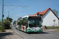 Mercedes Citaro, Wagen 0161 der BBG-Eberswalde in Nordend am 07.05.2011. In wenigen Tagen wird die Stra�e neu gebaut und der Obusverkehr umgeleitet. 


