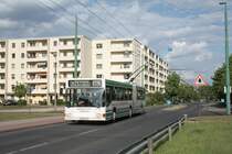 MAN NGE 152, Obus 038 der BBG-Eberswalde am 13.05.2011 im Brandenburgischen Viertel.