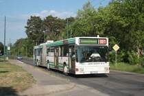 MAN NGE 152, Obus 011 der BBG-Eberswalde am 19.05.2011 in Nordend.
