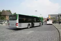 MAN Lion´s City, am 20.05.2011 in Hildesheim/ZOB.