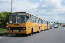 Anlsslich des 2. Ikarus Treffens in Lbau am 28.05.2011 konnte der lbauer IK 263 an der Spitze des Fahrzeugkorsos fotografiert werden.