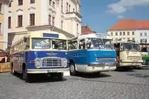 Beim 2. Ikarus Treffens in L�bau am 28.05.2011 konnten auch ein IK 311, ein IK 66 und ein (+1) IK 55 besichtigt werden.