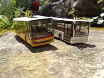 Rietze Modellbus-Postauto Setra,Region Aargau am 26.5.11 