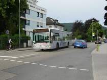 Ein Hoffmann Reisen Mercedes Benz Citaro am 05.06.11 in Neckargemnd 