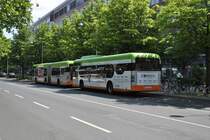 Zwei Mercedes 0 530 von Citaro Irvine,an der Haltestelle Peiner in Hannover,am 06.06.2011.