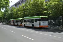 Zwei Mercedes 0 530 von Citaro Irvine,an der Haltestelle Peiner in Hannover,am 06.06.2011.