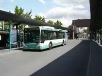Ein Mercedes Benz Citaro des Stadtverkehr Maintal am 11.06.11 in Frankfurt