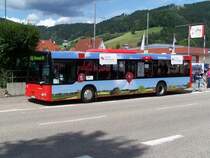 NL 223 von Sdwestbus in Hausach am 23/06/11.