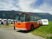 Mangold, Unterengstringen - ZH 368'719 - Saurer/Hess RH am 25. Juni 2011 in Interlaken, Flugplatz