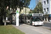 MAN NGE 152, Obus 038 der BBG-Eberswalde am 28.06.2011 an der Haltestelle Friedrich-Ebert-Stra�e. 


