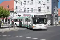 MAN NGE 152, Obus 038 der BBG-Eberswalde am 28.06.2011 in der Altstadt von Eberswalde.


