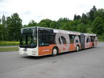 Ein MAN-Gelenkbus der Fa. Kurz aus Pliezhausen auf dem Betriebshof. Mir Brezelwerbung.