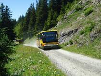 AVG Grindelwald - Nr. 21/BE 100'930 - Setra am 3. Juli 2011 in Grindelwald, Waldspitz