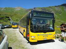 AVG Grindelwald - Nr. 24/BE 364'408 - MAN am 3. Juli 2011 in Grindelwald, Bachlger
