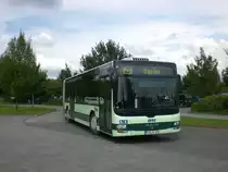 MAN Niederflurbus 3. Generation (Lion's City) als Shuttelbus zur Bastei(S�chsiche Schweiz am Parkplatz Rathewalde.(26.7.2011)