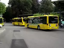 Zwei Mercedes Benz Citaro am 14.08.11 in Kempten ZUM 