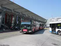 vbl Nr. 160 ''Egger'' (Mercedes CitaroII O530G) am 2.8.2011 beim Bhf. Luzern. Damit das Egger-Firmenlogo auf der Front vollst�ndig zur Geltung kommt, wurde an diesem Wagen eine Frontplatte ohne MB-Stern montiert.