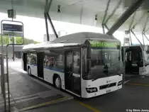 VBG/Eurobus Nr. 83 (Volvo 7700 Hybrid) am 16.8.2011 beim Flughafen. Auch die VBG beteiligte sich am Volvo-Hybrid-Test, wo die Fahrzeuge von Volvo f�r 3 Jahre geleast wurden.