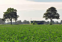 MB Citaro der SVE (Stadtverkehr Euskirchen) zwischen 2 Bumen bei Euskirchen - 10.08.2011
