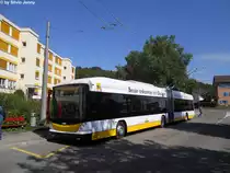 VBSH Nr. 102 (Hess Swisstrolley BGT-N2C) am 31.8.2011 in Neuhausen, Herbst�cker